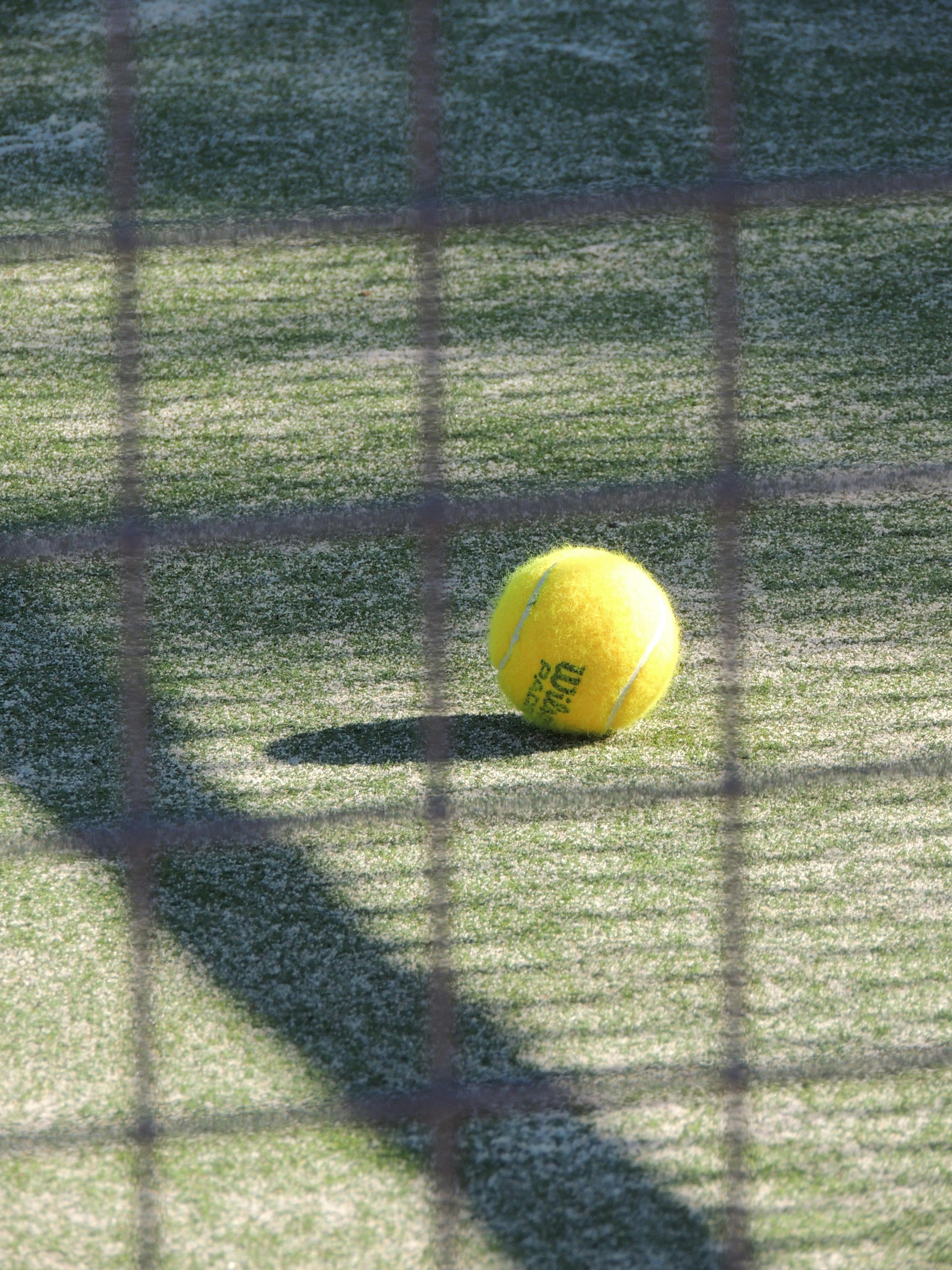 tennis ball on a grass tennis court